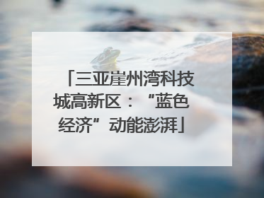 三亚崖州湾科技城高新区：“蓝色经济”动能澎湃